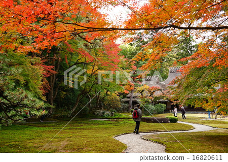 奈良國家公園Yoshikoen /秋葉的平成時期 16820611