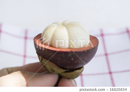 mangesteen fruit purple violet background concept 16820834