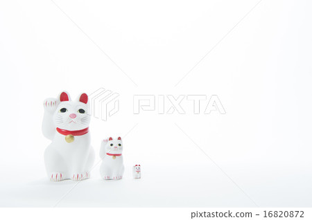Lucky Cat Lucky Cat 16820872