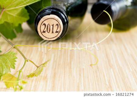 Wine bottle with vine and wine cork . Wine bottle with vine and wine cork . 16821274