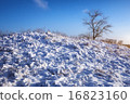 Winter nature with tree and snow-covered plants 16823160