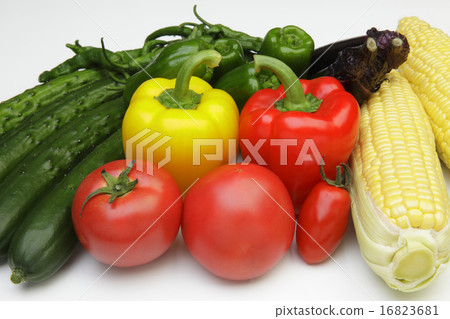 夏季蔬菜的集合 夏季蔬菜的集合 16823681