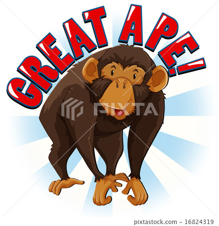 Monkey Monkey 16824319