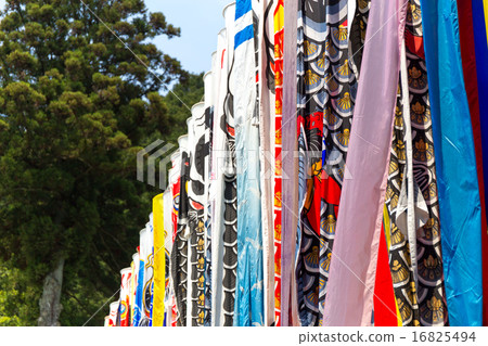 Koinobori of Sun Moon Hachimangu Shrine 16825494