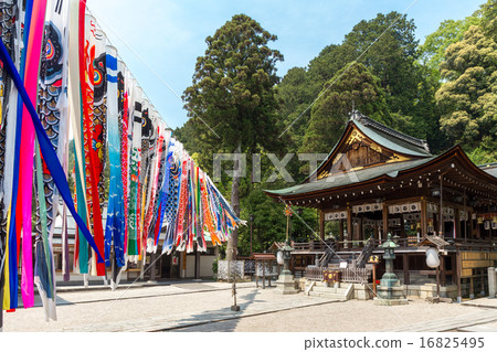 Koinobori of Sun Moon Hachimangu Shrine 16825495