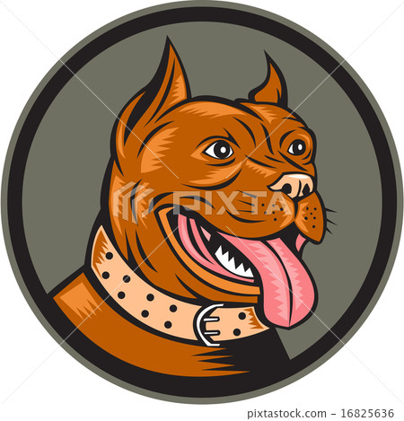Pitbull Dog Mongrel Head Circle Woodcut Pitbull Dog Mongrel Head Circle Woodcut 16825636