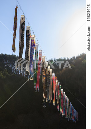Carp streamers of Minami Kiyasato 16825698