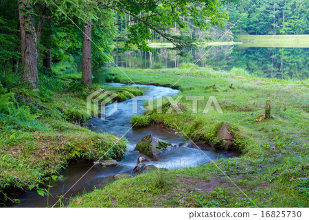 Oshika池塘的流入路徑 Oshika池塘的流入路徑 16825730