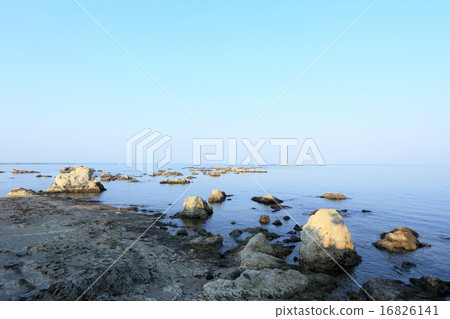 Morito海岸 16826141