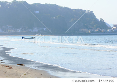 Timber Coast Timber Coast 16826590
