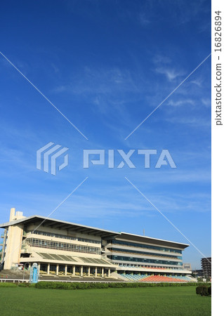 Racecourse Racecourse 16826894