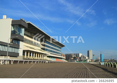 Racecourse Racecourse 16826895