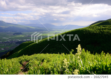 麻生太郎夏天 16827045