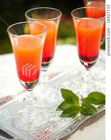 Garden party cocktail 16827133