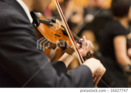 pluck, repel, music 16827747