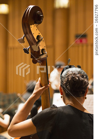 低音提琴 表現 演唱會 16827766