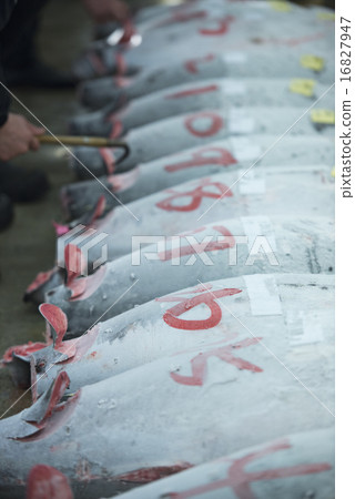 market, markets, fish market 16827947