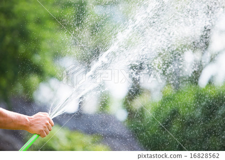 Man watering the garden from hose on sunny day 16828562