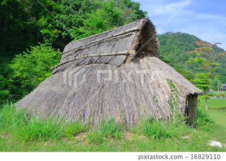 Pit style housing 16829110