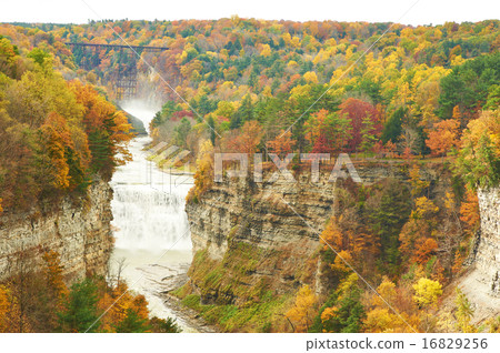 Autumn scene of waterfalls and gorge 16829256