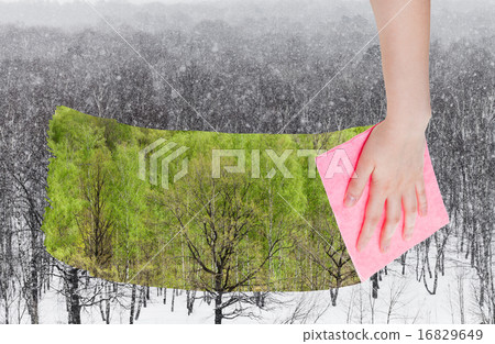 hand deletes snowing over winter woods by cloth 16829649