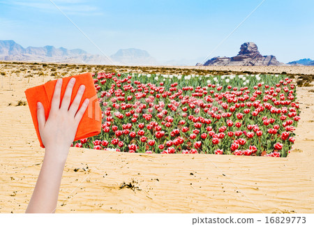 hand deletes desert by orange cloth hand deletes desert by orange cloth 16829773