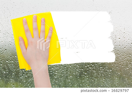 hand deletes raindrops on glass by yellow rag hand deletes raindrops on glass by yellow rag 16829797