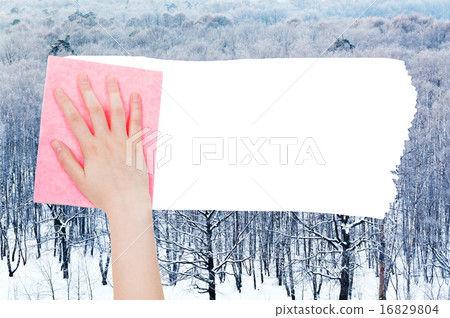 hand deletes winter woods by pink rag hand deletes winter woods by pink rag 16829804