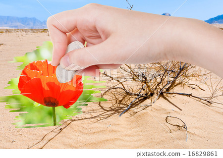 hand deletes dry sand desert by rubber eraser hand deletes dry sand desert by rubber eraser 16829861