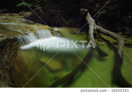 Breaststone 16830383