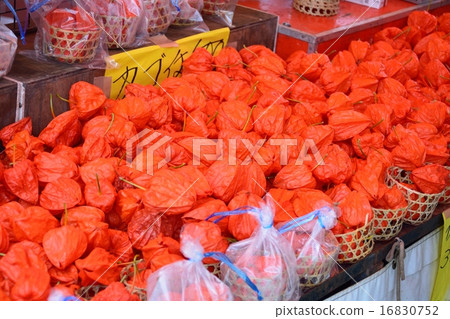 Asakusa Hozuki City Asakusa Hozuki City 16830752