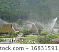 All the village of Kayakiki 16831591