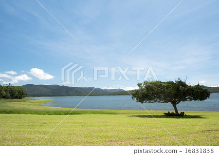 Tina Le Lake, Cairns, Australia - 2 16831838