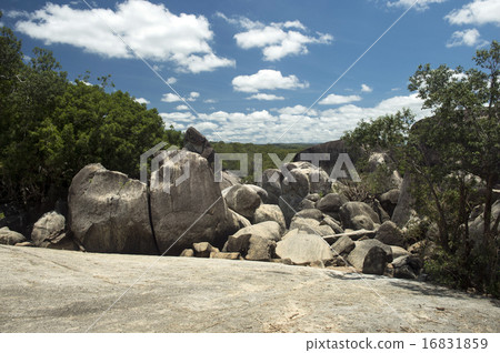 Graffitogoji, Cairns, Australia-1 16831859