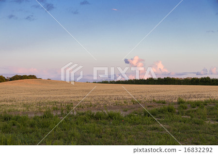 Cloud over Field 16832292