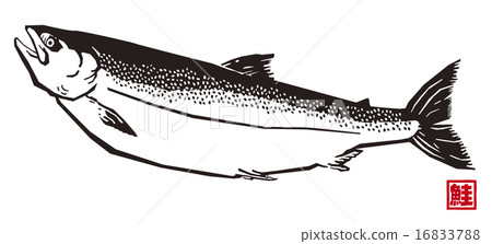 salmon  16833788