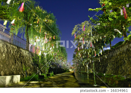 Tanabata Tanabata Road在京都 16834961