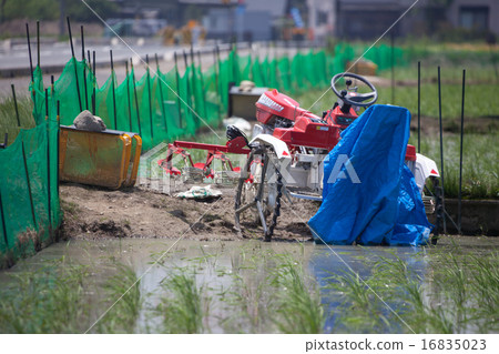 Rural landscape - rice fields and agricultural machines - 16835023