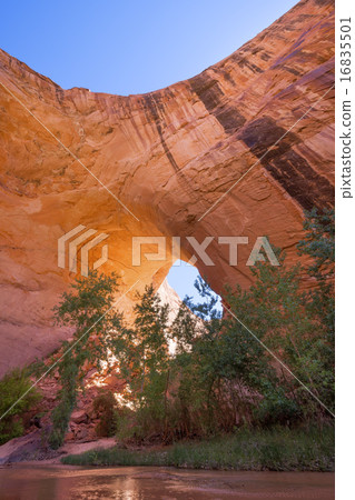 Jacob Hamblin Arch 16835501