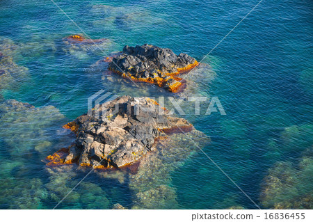 Coastal rocks in Mediterranean Sea, Corsica Coastal rocks in Mediterranean Sea, Corsica 16836455