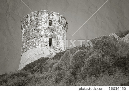 Tour Parata. Ancient Genoese tower, Corsica 16836460