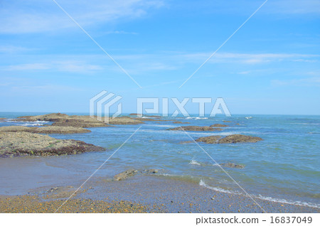 Sea Sea 16837049