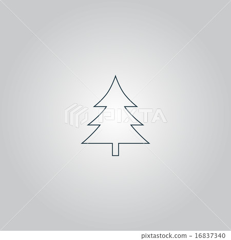 Spruce, christmas tree icon Spruce, christmas tree icon 16837340