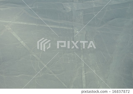 Landscape of Nazca Landscape of Nazca 16837872