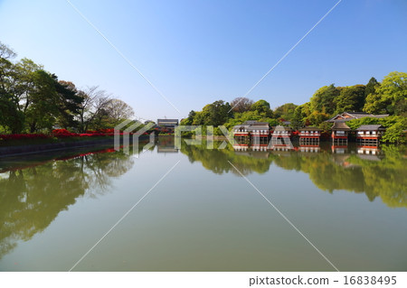 京都長岡天滿宮Hachijyokei 16838495