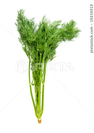 bundle dill 16838919