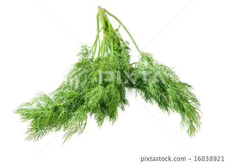 bundle dill bundle dill 16838921