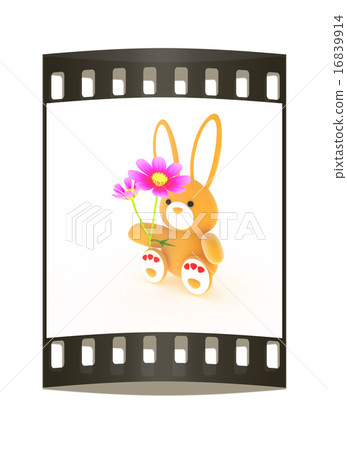 soft toy hare and cosmos flower. The film strip 16839914