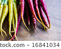 Colorful carrots 16841034