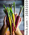 Colorful carrots 16841039